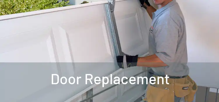  Door Replacement 